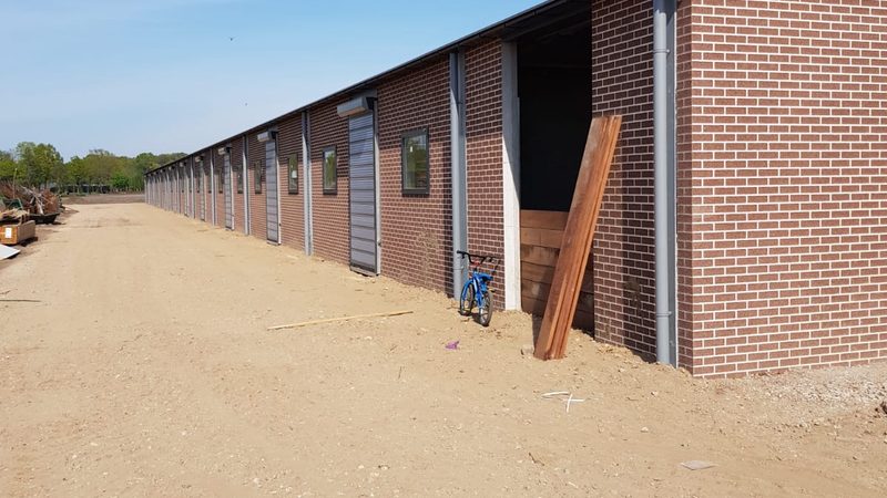 独立站数据筛选参数优化工具